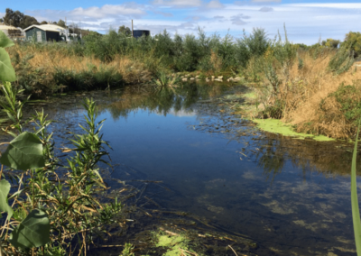 Real-time THM Data Optimizes Wastewater Treatment in Paso Robles