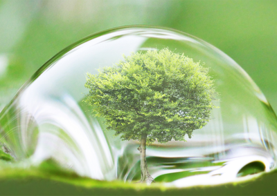 SafeGuard™ H2O In-situ Reagent Generation Technology