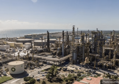 Real-time Fluoride Measurement in Petrochemical Industry