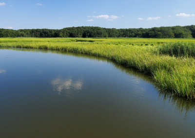 Online THM Monitoring Helps New Jersey Water Authority Achieve DBP Compliance