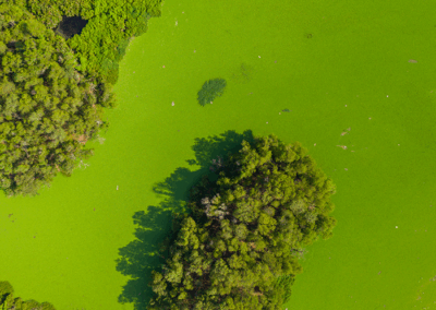 Advancing Phosphate Removal with SafeGuard™ H2O Ferrate Technology